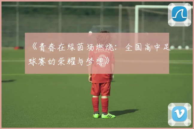 《青春在绿茵场燃烧:全国高中足球赛的荣耀与梦想》