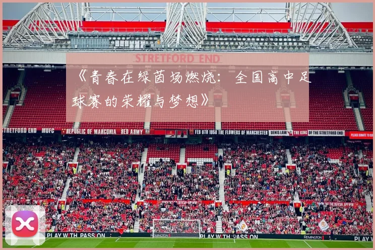 《青春在绿茵场燃烧：全国高中足球赛的荣耀与梦想》